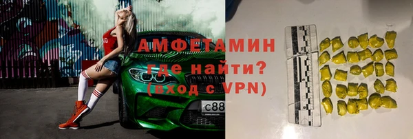 прущие грибы Медногорск
