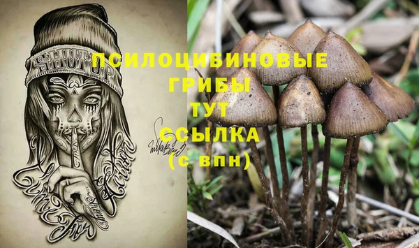 тгк Михайловск