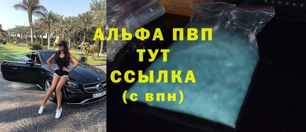 прущие грибы Медногорск