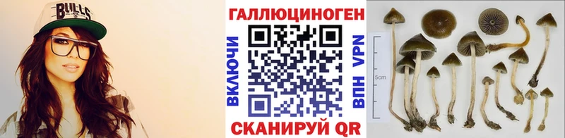 Псилоцибиновые грибы Psilocybe  Купить закладки  Советск 